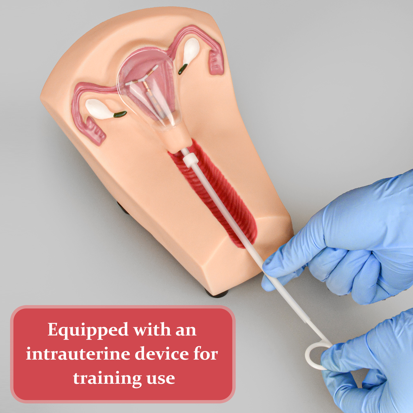 SimCoach Intrauterine Device Training Kit