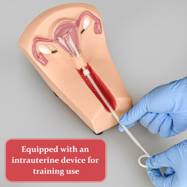 SimCoach Intrauterine Device Training Kit