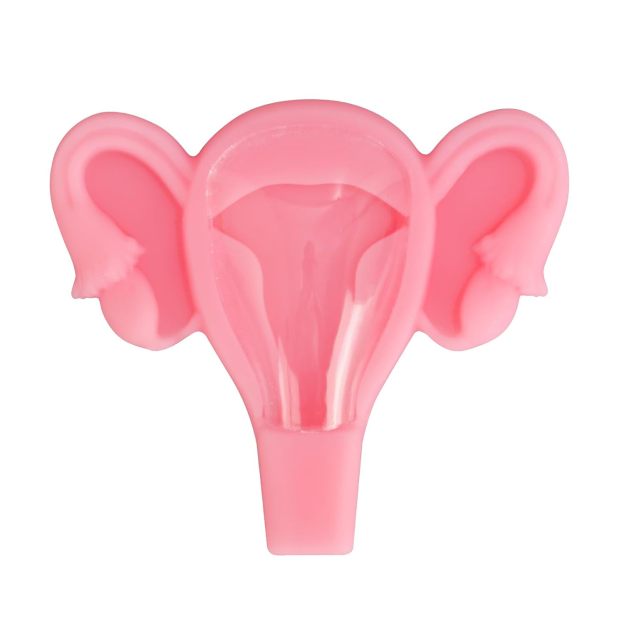 3D IUD Training Model