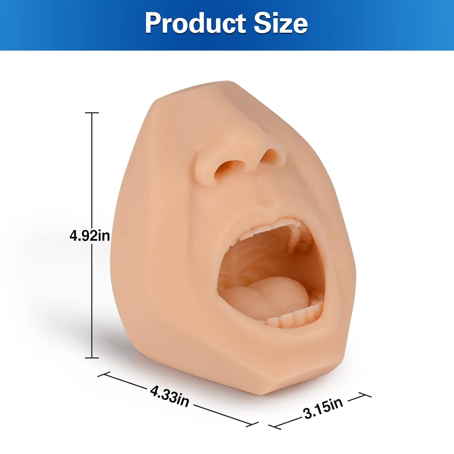 Swab Training Model Dimensions And Size Information