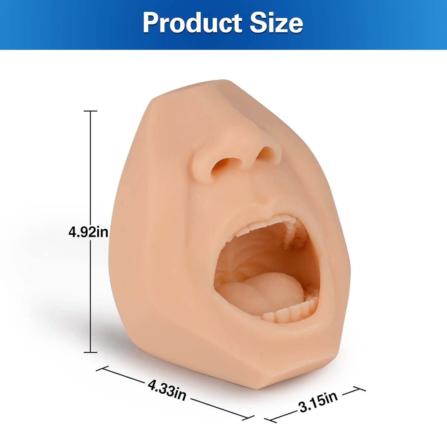 Swab Training Model Dimensions And Size Information