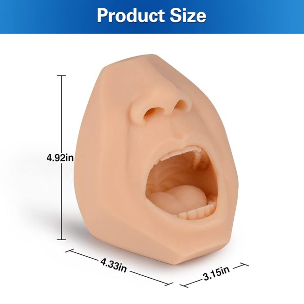 Swab Training Model Dimensions And Size Information