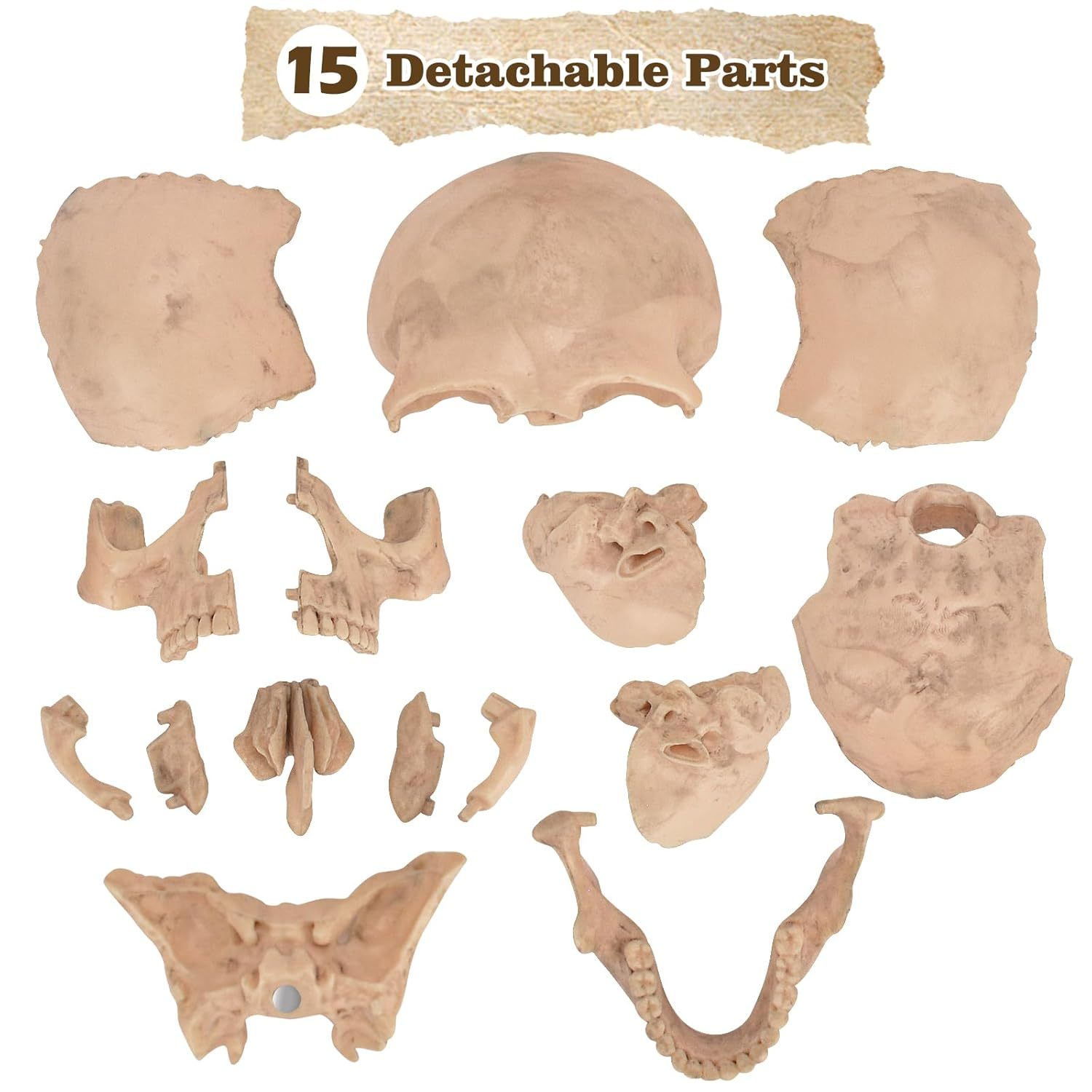 Detailed View of 15 Magnetic Detachable Skull Pieces