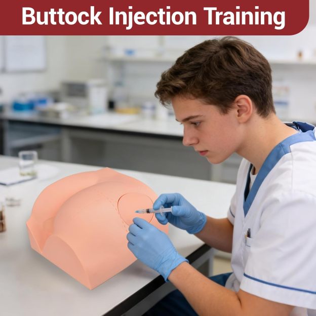 Intramuscular Injection Simulator For Nursing And Medical Education
