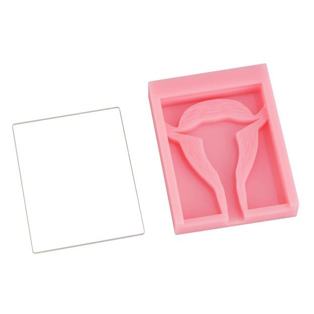 Basic IUD Training Model, Rectangular-shaped