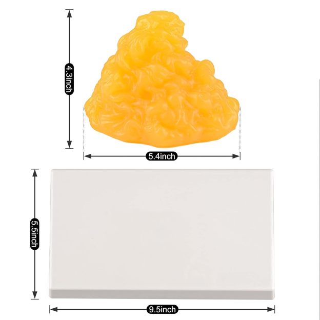 1 LB Human Fat Model and Base Size Information Display