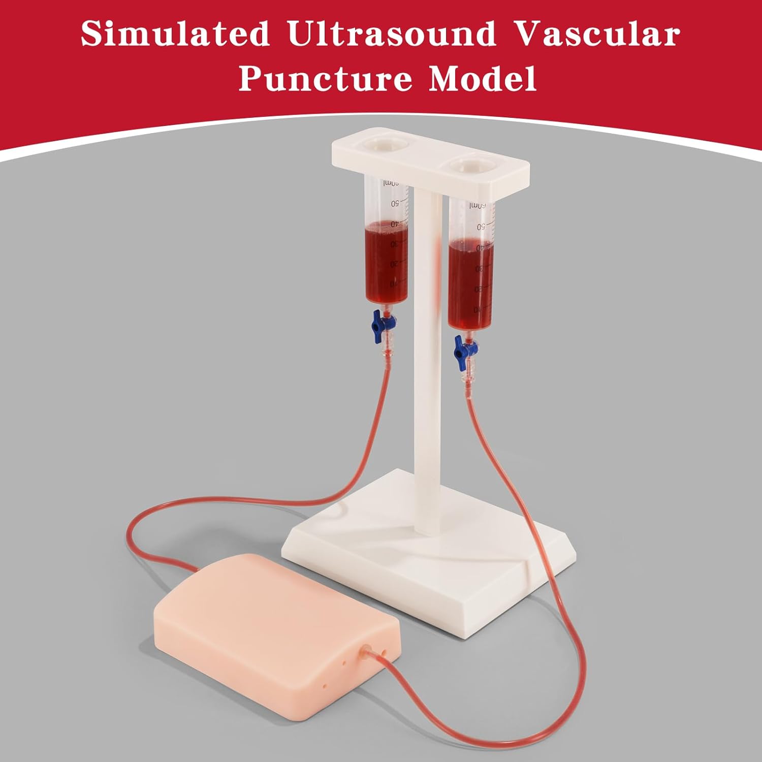 Flowing Fluid In Vascular Access Model Simulating Real Blood Return