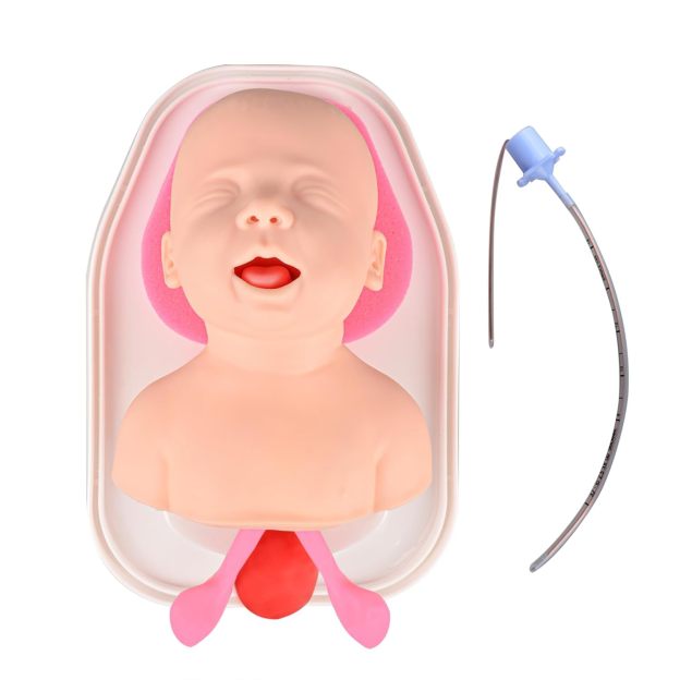 Pediatric Intubation Trainer Oral Endotracheal Tube Practice