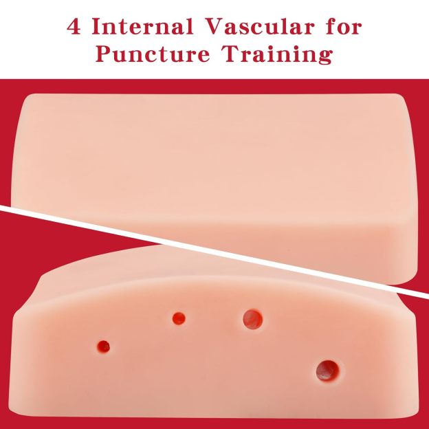 4 Internal Vascular in Model for Puncture Training