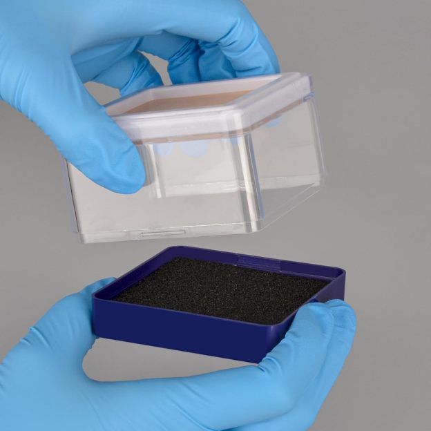 SQ Injection Training Pad