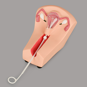 IUD Training Simulator