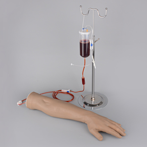 Professional and Best Phlebotomy Practice Arm Kit