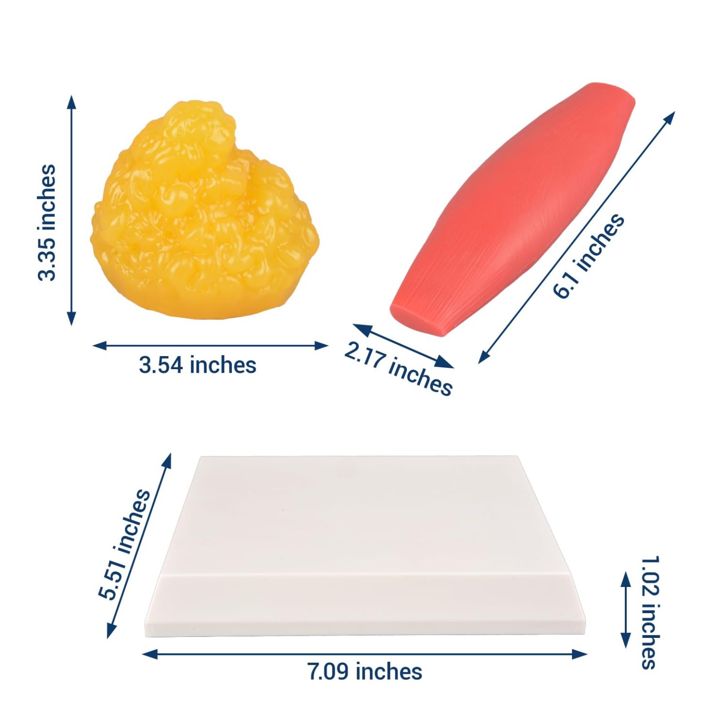 The Size Info of Human Body Fat & Muscle Replica 200g