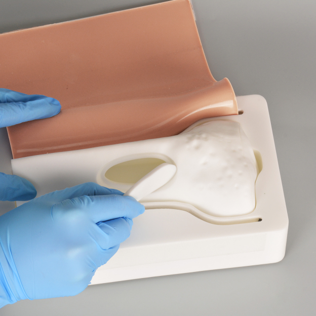 Reusable IO Training Bone Model with Replaceable Bone Pads