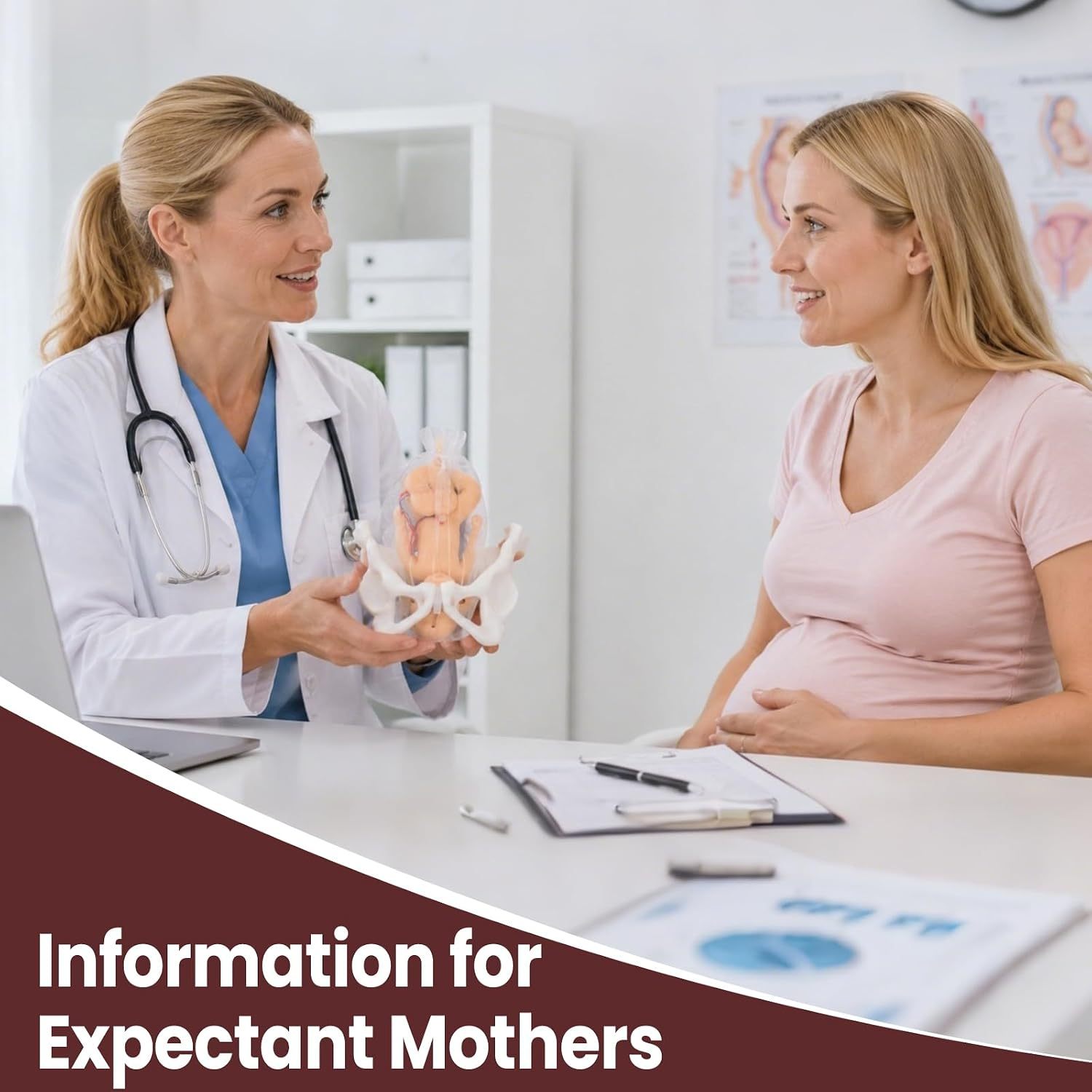 Mini Childbirth Education Model with Female Pelvis and Fetal Baby