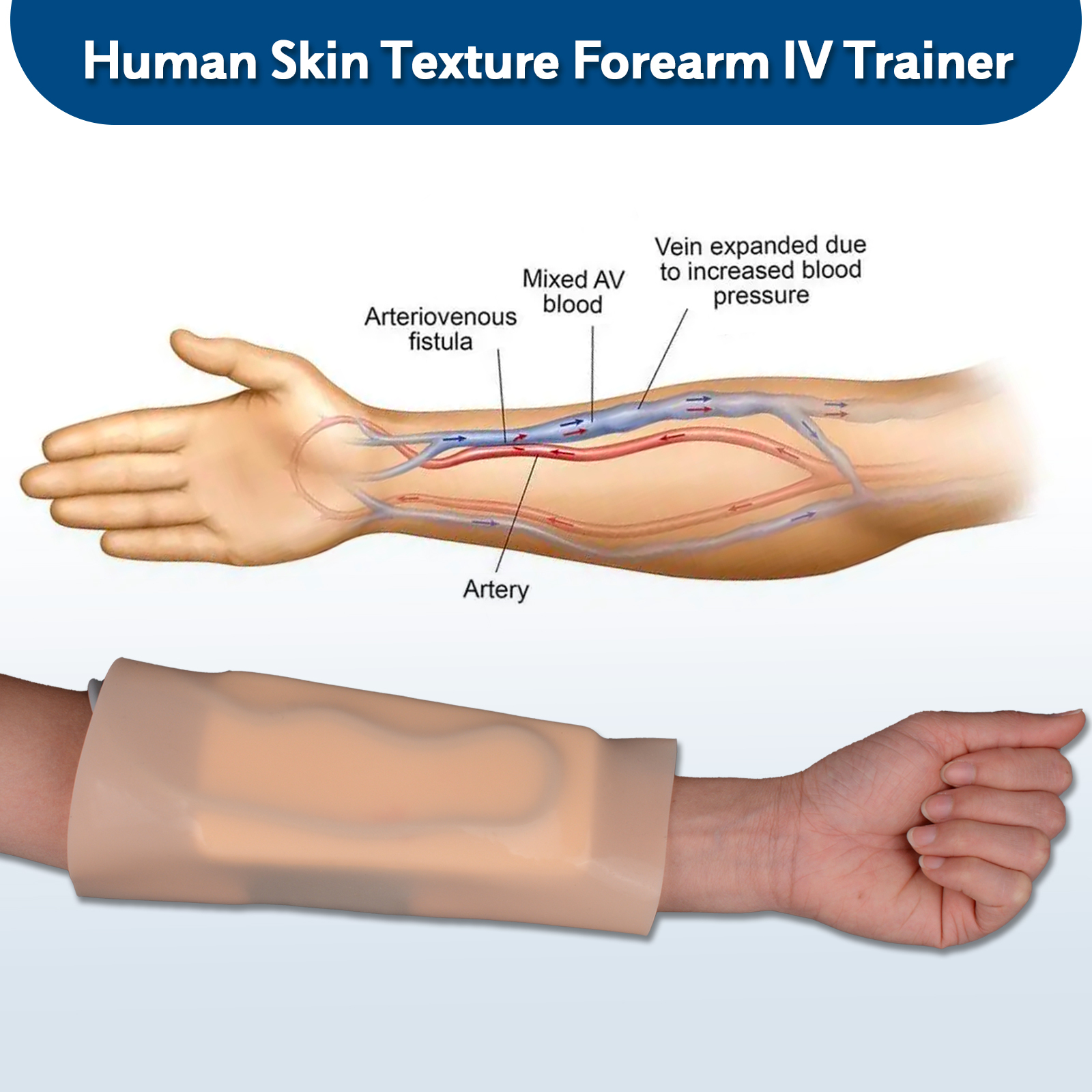 Forearm IV Trainer in Human Skin Texture