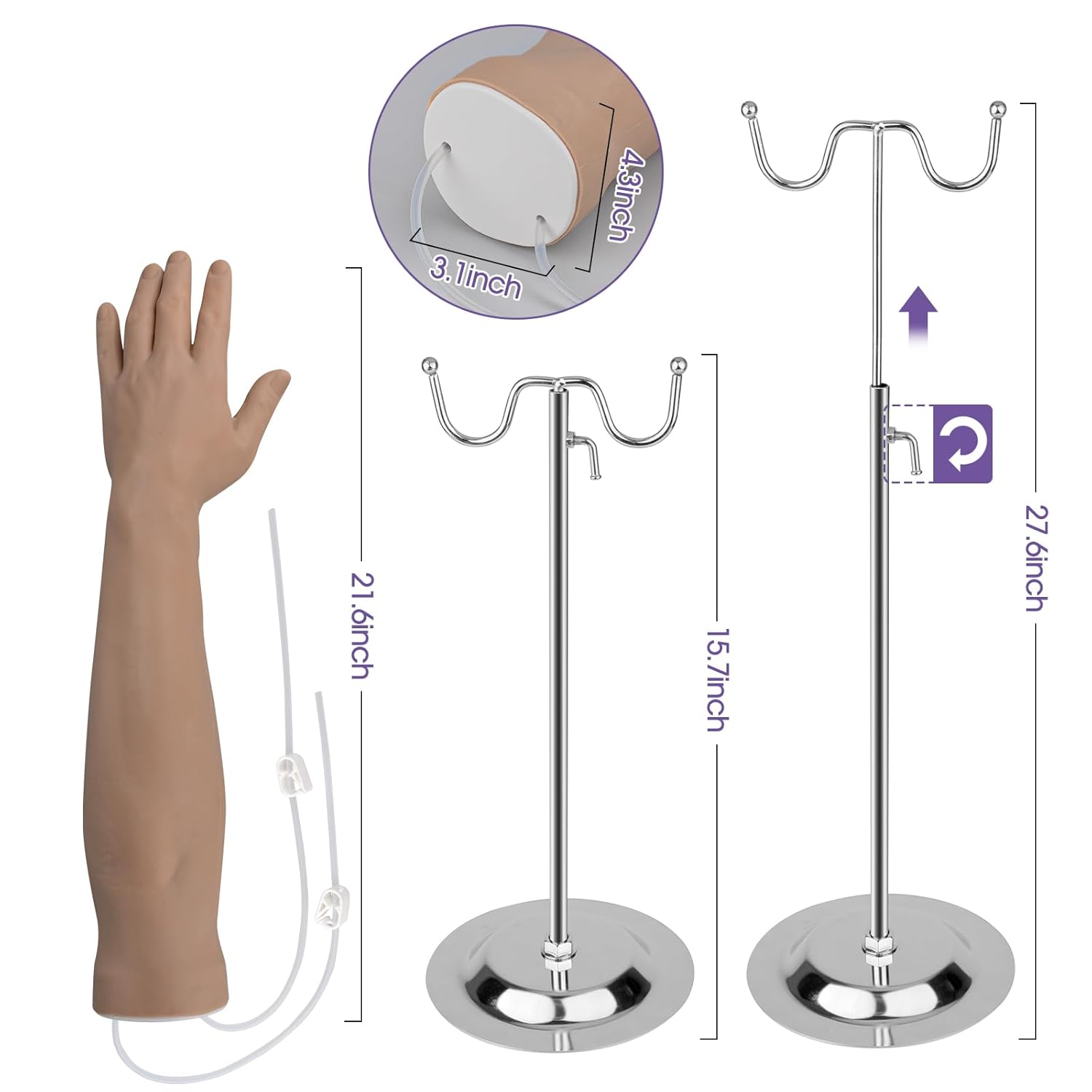 The Size Info of Phlebotomy Practice Arm Kit