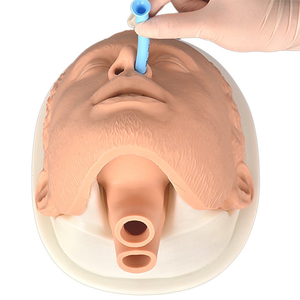 Adult Airway Manikin for Hospital and Personal Use