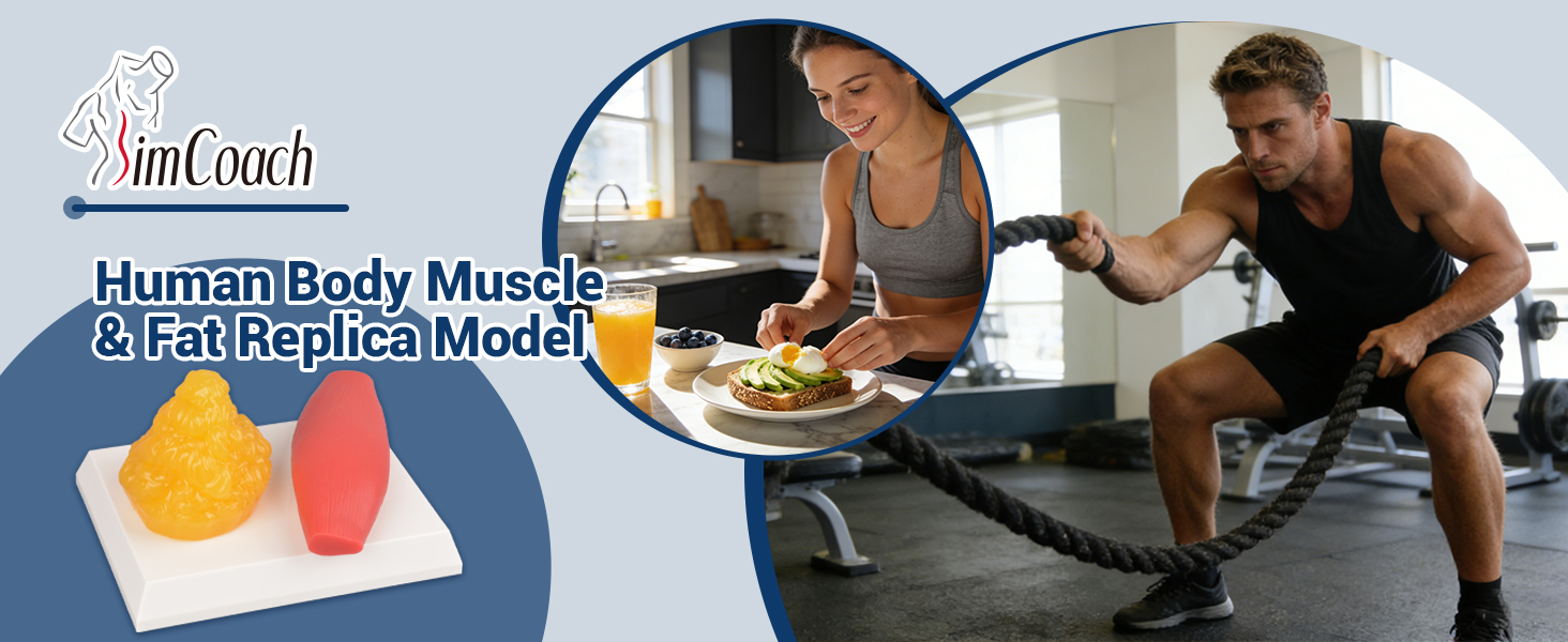 SimCoach 200g Human Body Fat & Muscle Replica