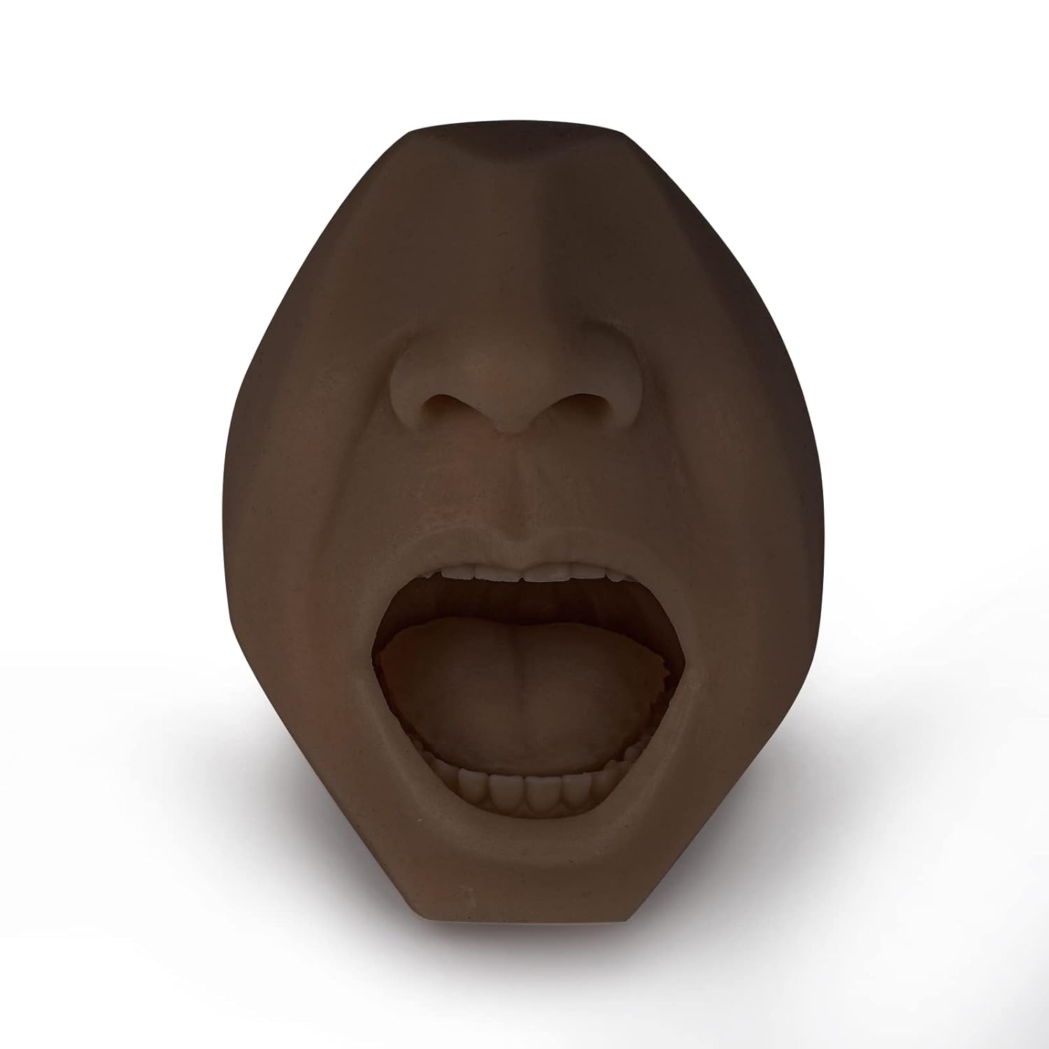 Nasal And Throat Swab Training Model (Black Color)