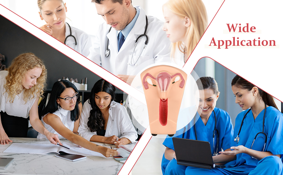 IUD Training Simulators