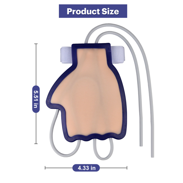 The Product Size of Dosal Hand Venipuncture Trainer