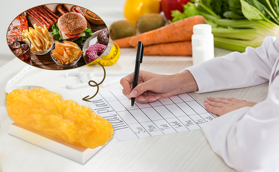 5 Pounds of Fat Model Apply in Nutrition Education