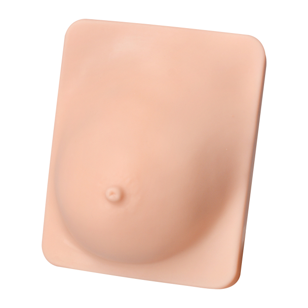 Breast Pathology Model with Palpable Lumps