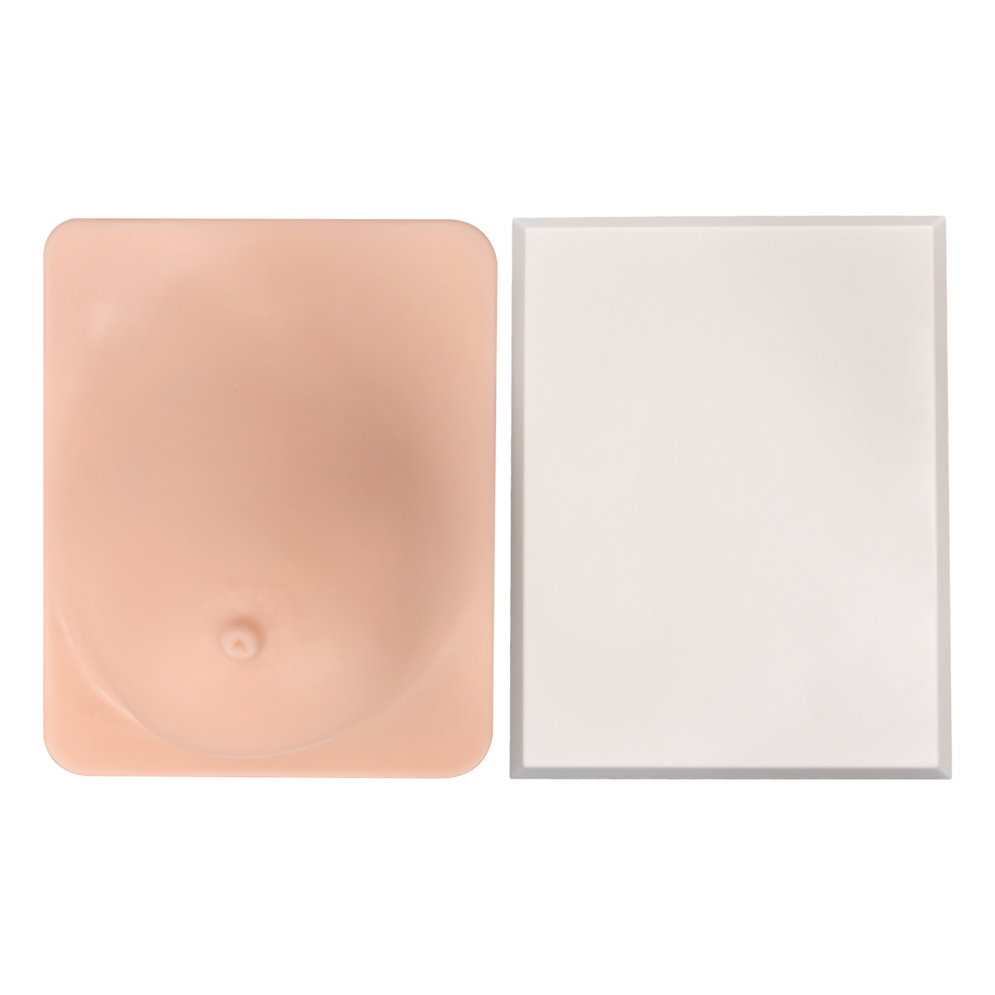 Breast Pathology Model with Palpable Lumps