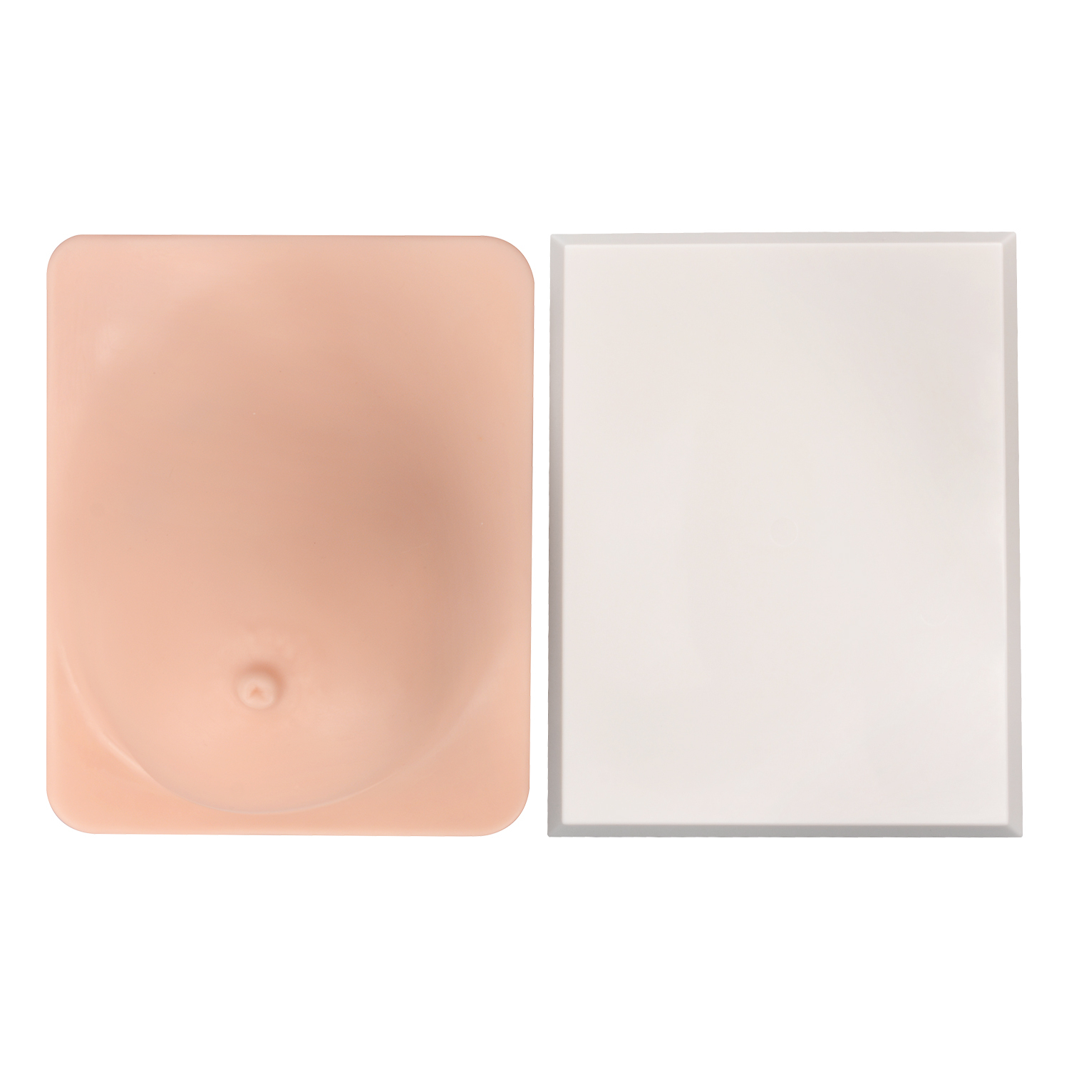 Breast Pathology Model with Palpable Lumps