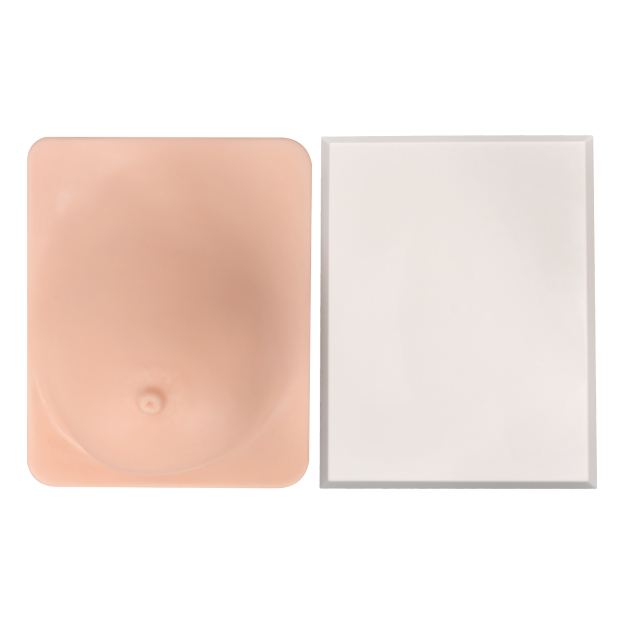 Breast Pathology Model with Palpable Lumps