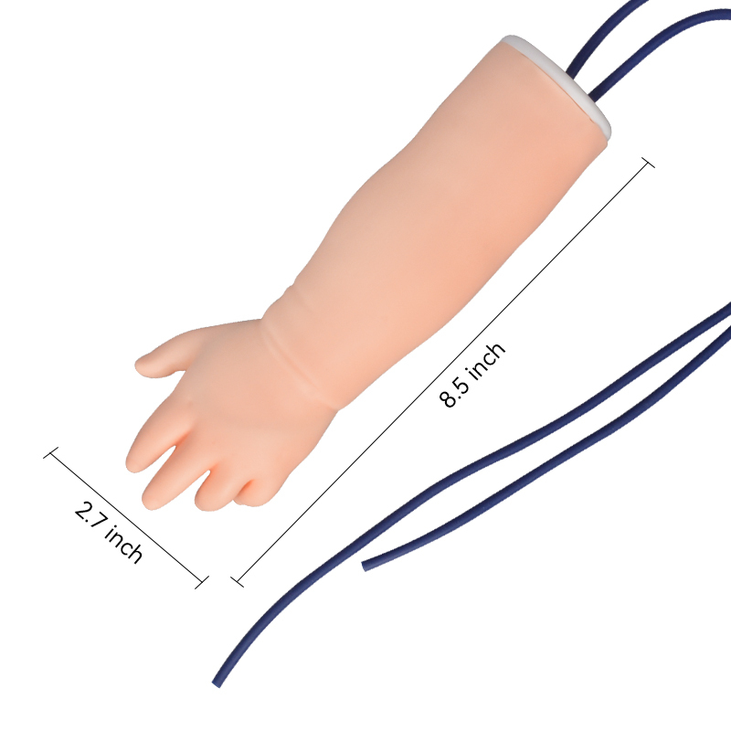 Nursing Training Infant IV Arm Model Size Reference