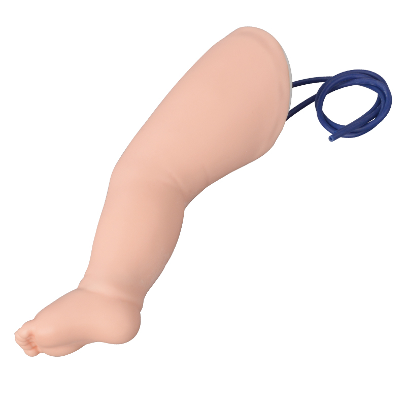 Pediatric Lower Limb Venipuncture Practice Leg Model