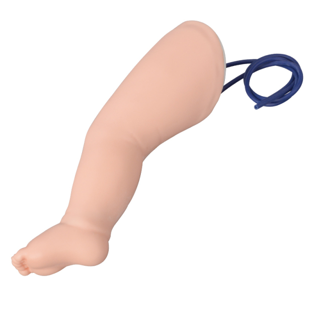 Pediatric Lower Limb Venipuncture Practice Leg Model
