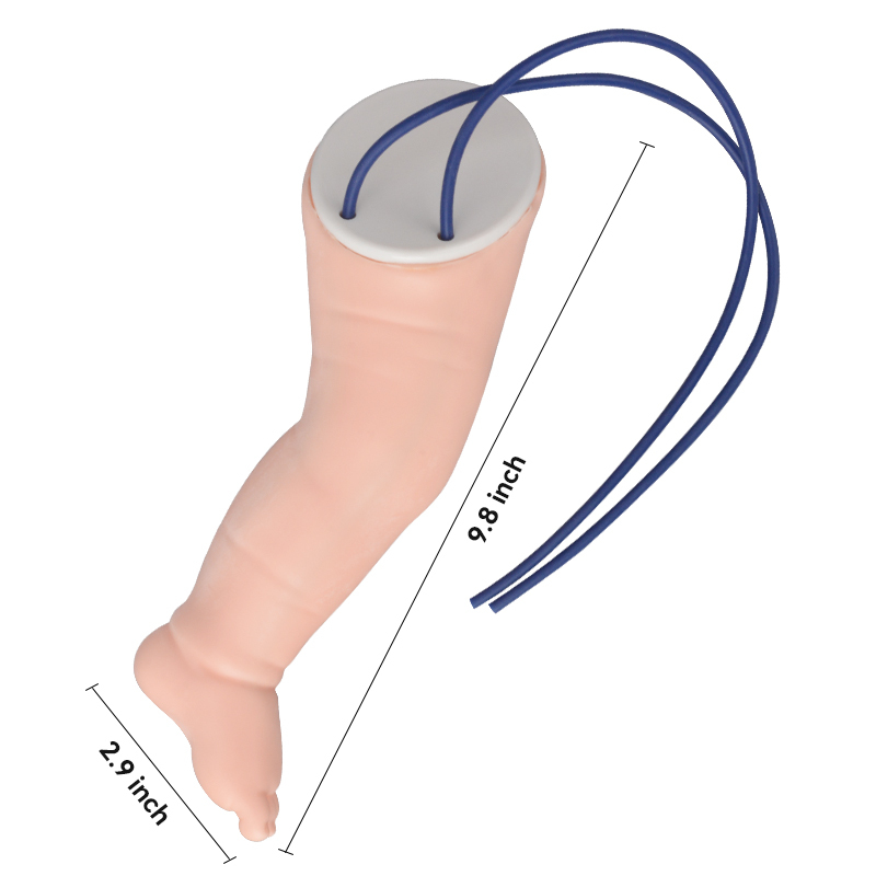 Pediatric IV Training Leg Size Reference