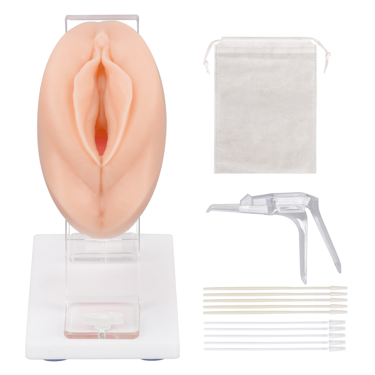 Vaginal and Pelvic Exam Training Model Training Kit