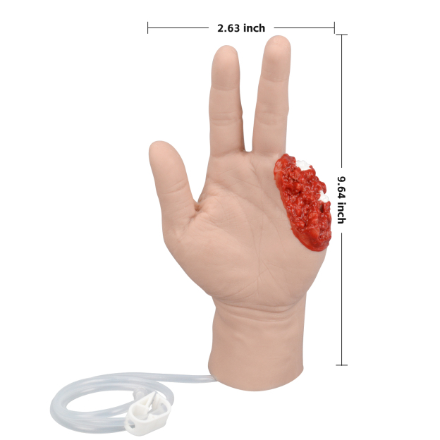 The Size Reference of Wound Packing Training Hand Model