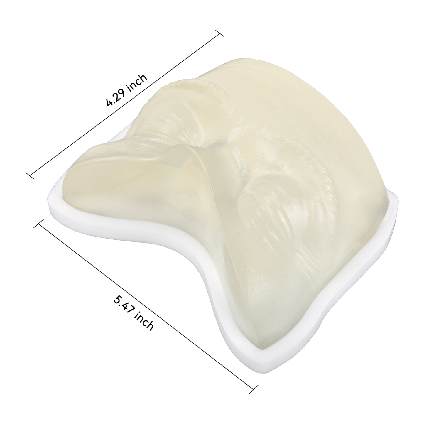 Transparent Eye Area Botox Injection Training Model