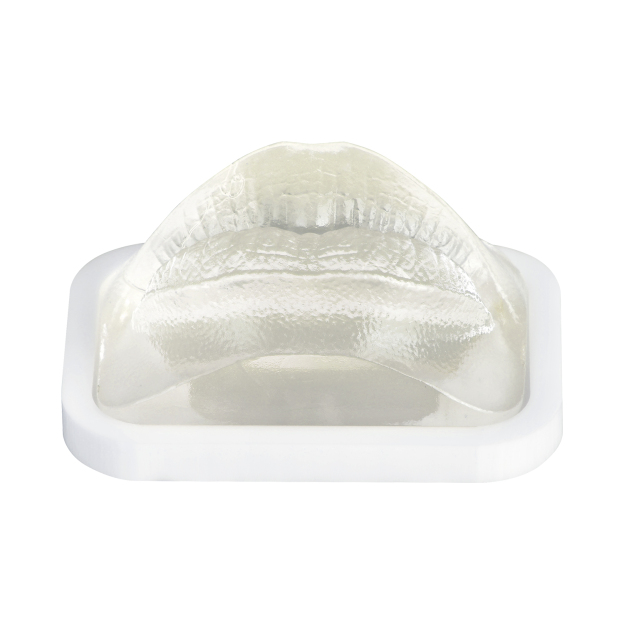 Transparent Lip Filler Injection Practice Model