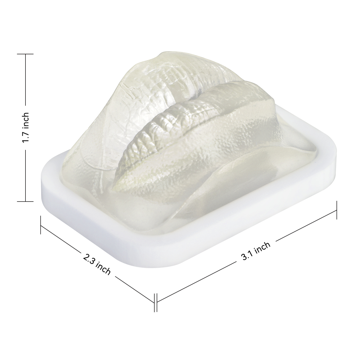 Transparent Lip Filler Injection Practice Model
