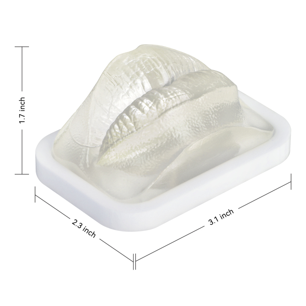 Transparent Lip Filler Injection Practice Model