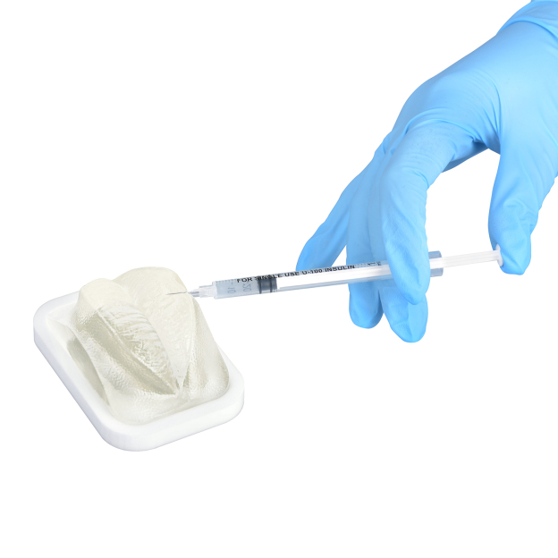 Transparent Lip Filler Injection Practice Model