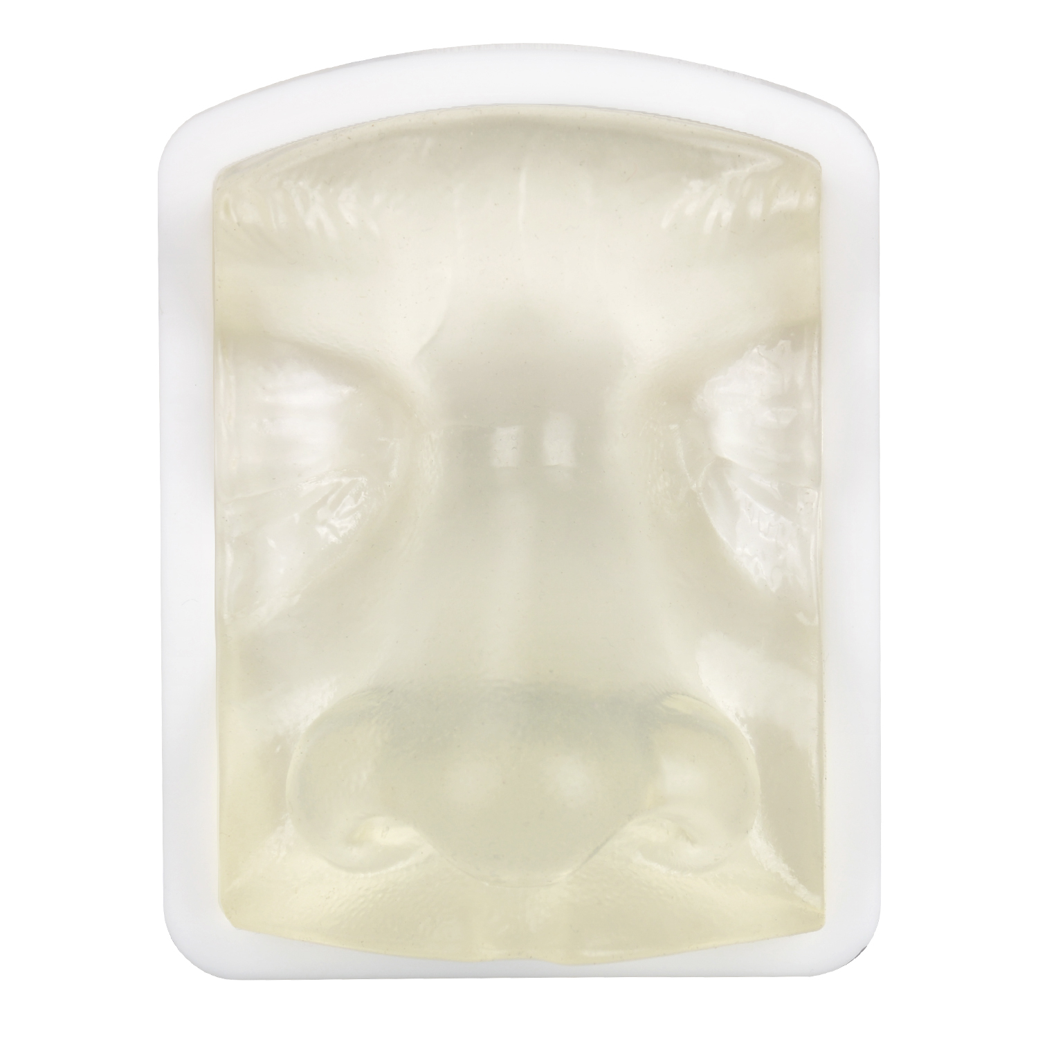 Transparent Nose Injection Simulator for Dermal Filler Training