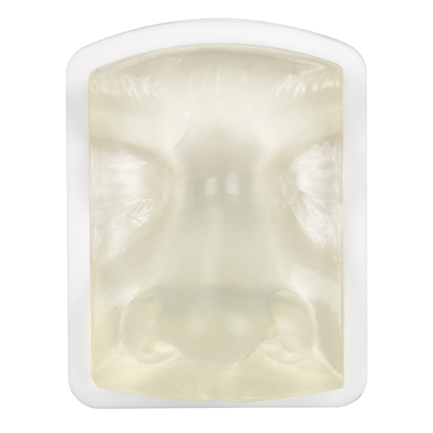 Transparent Nose Injection Simulator for Dermal Filler Training