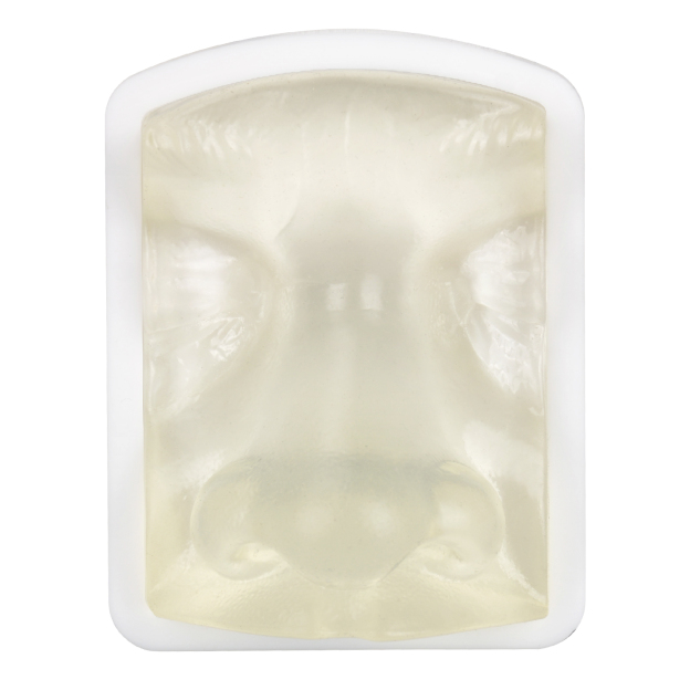 Transparent Nose Injection Simulator for Dermal Filler Training