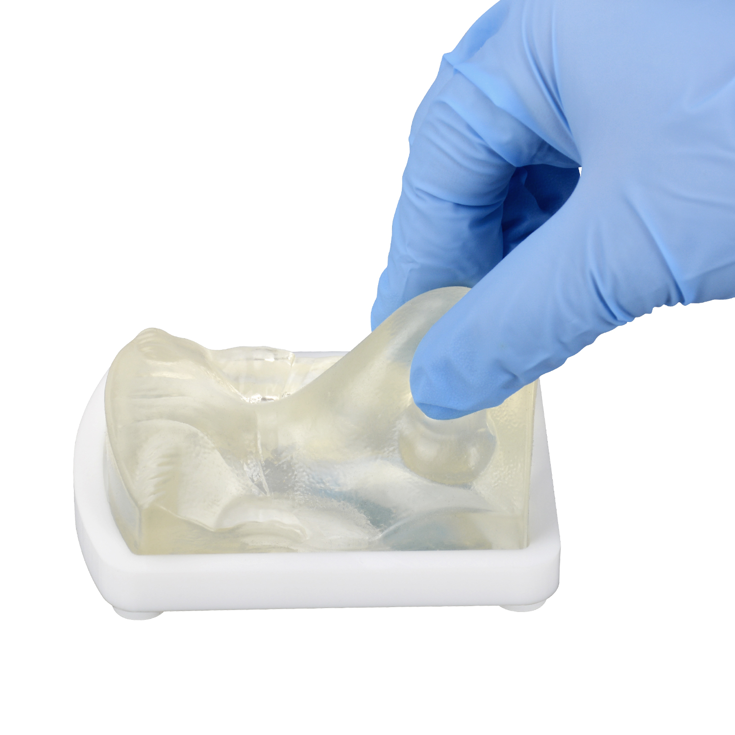 Transparent Nose Injection Simulator for Dermal Filler Training