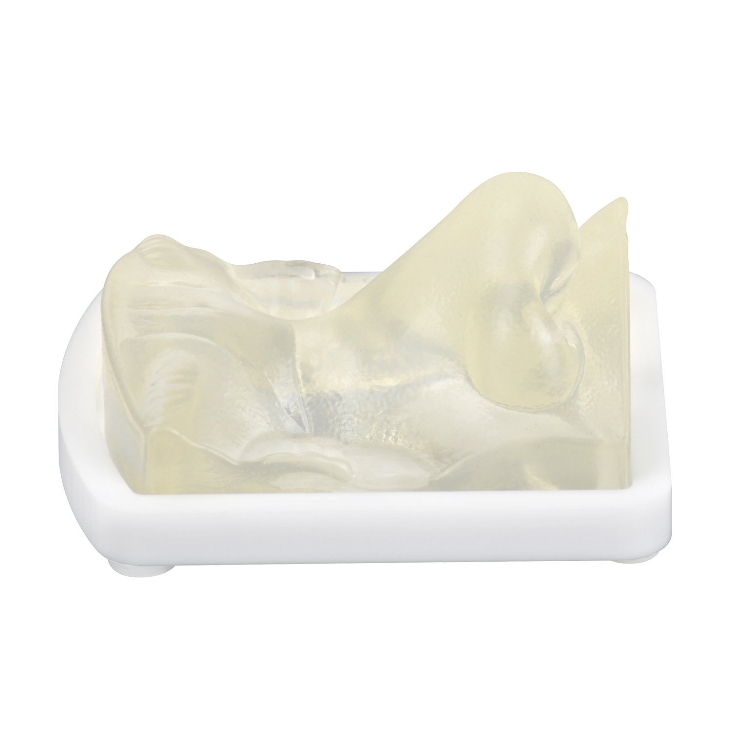 Transparent Nose Injection Simulator for Dermal Filler Training
