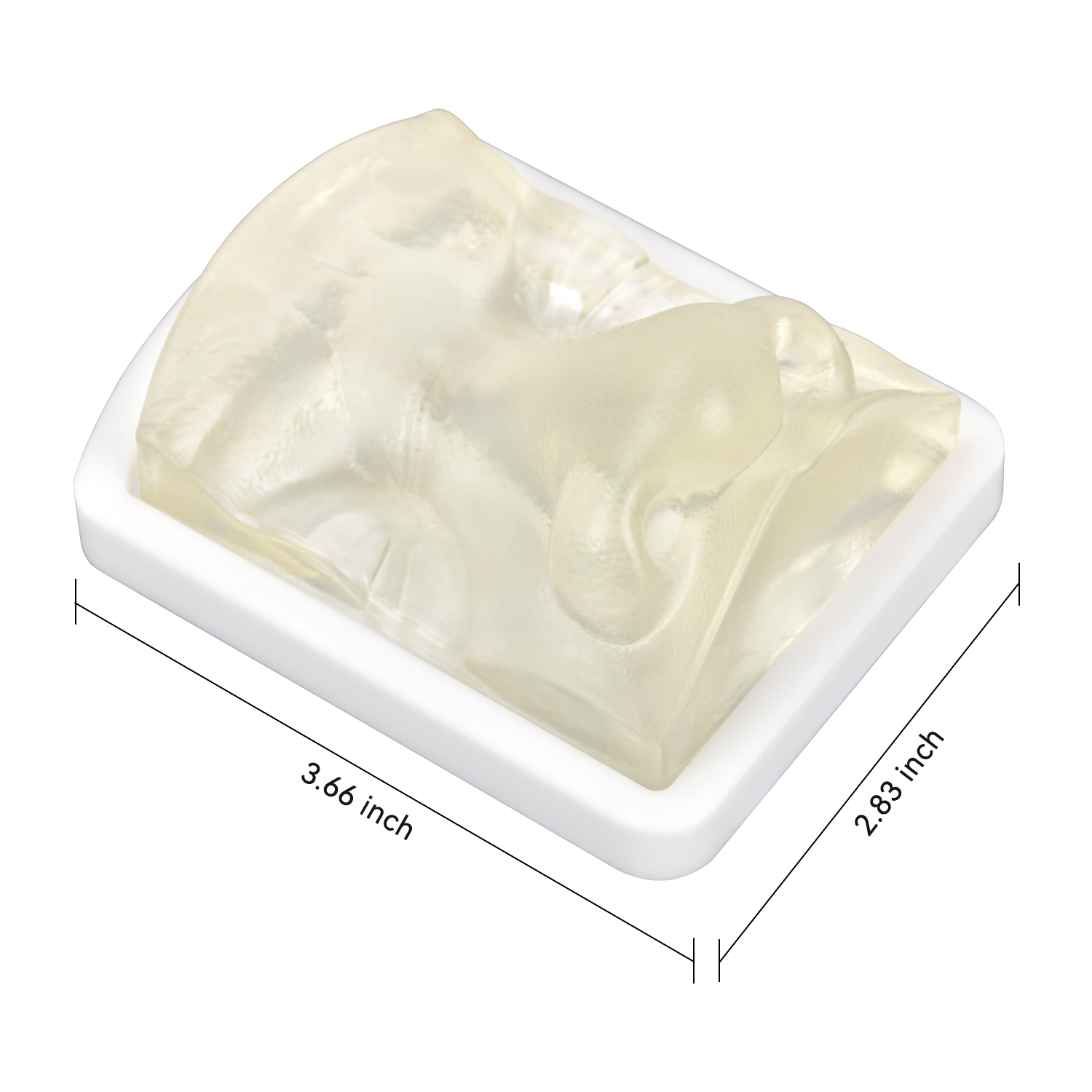 Transparent Nose Injection Simulator for Dermal Filler Training