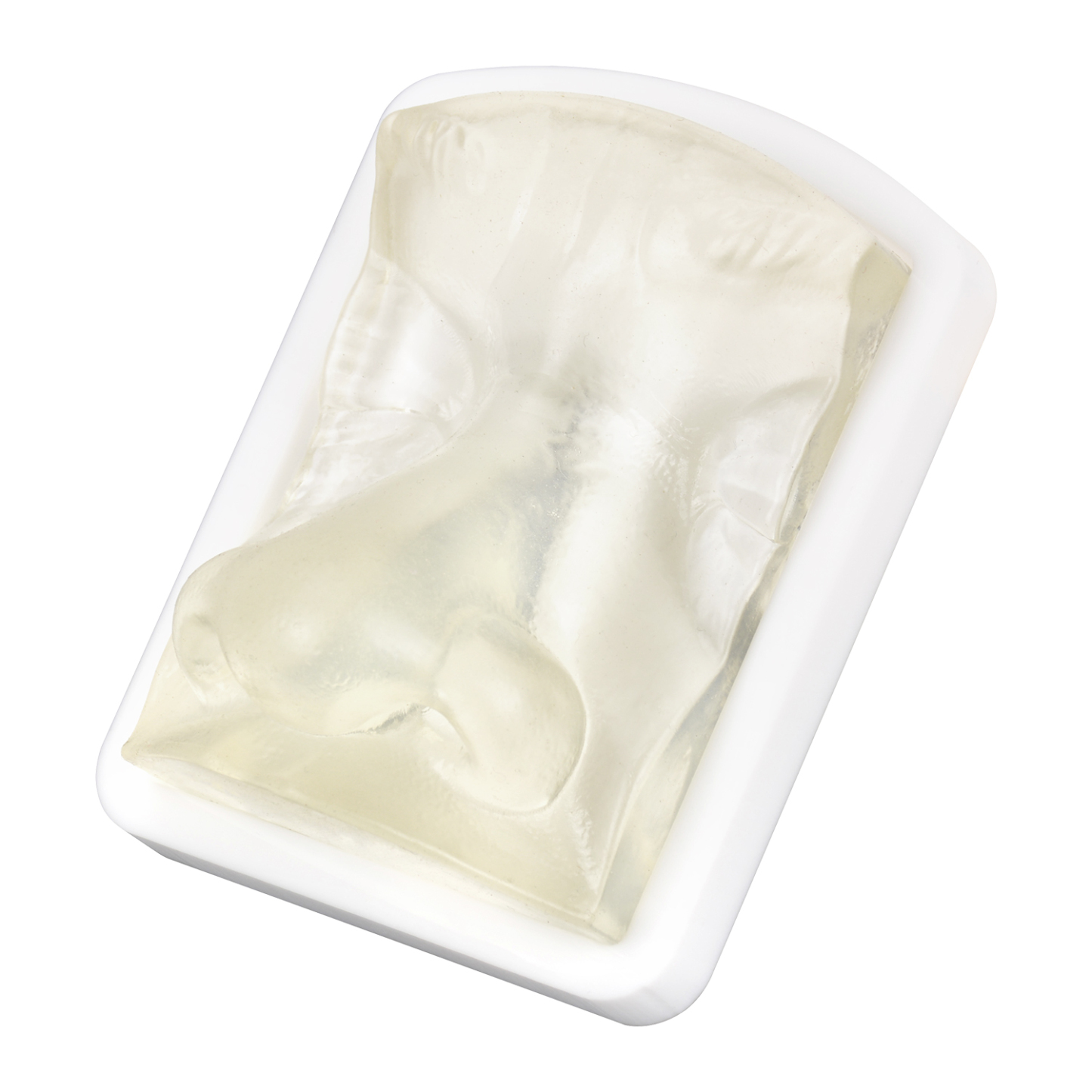 Transparent Nose Injection Simulator for Dermal Filler Training