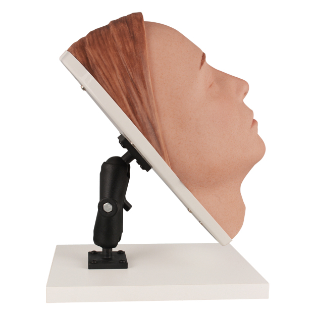 Multi-Angle Female Facial Injection Training Head